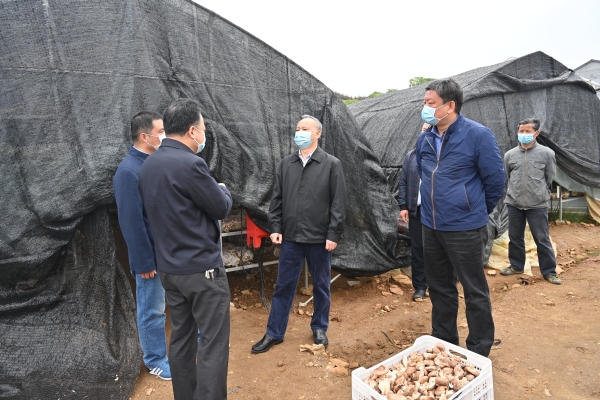涂晓平赴团风县杜皮乡叶家冲村检查督促落实扶贫工作