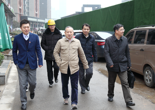 涂晓平到南京公司南油置业武汉项目现场调研指导工作