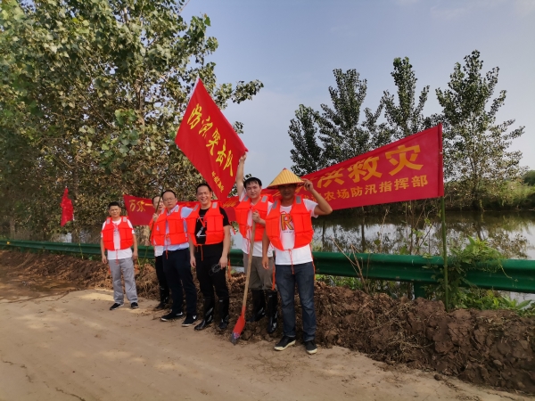 防汛抗洪在行动┃置业公司严格落实汛期安全防控措施